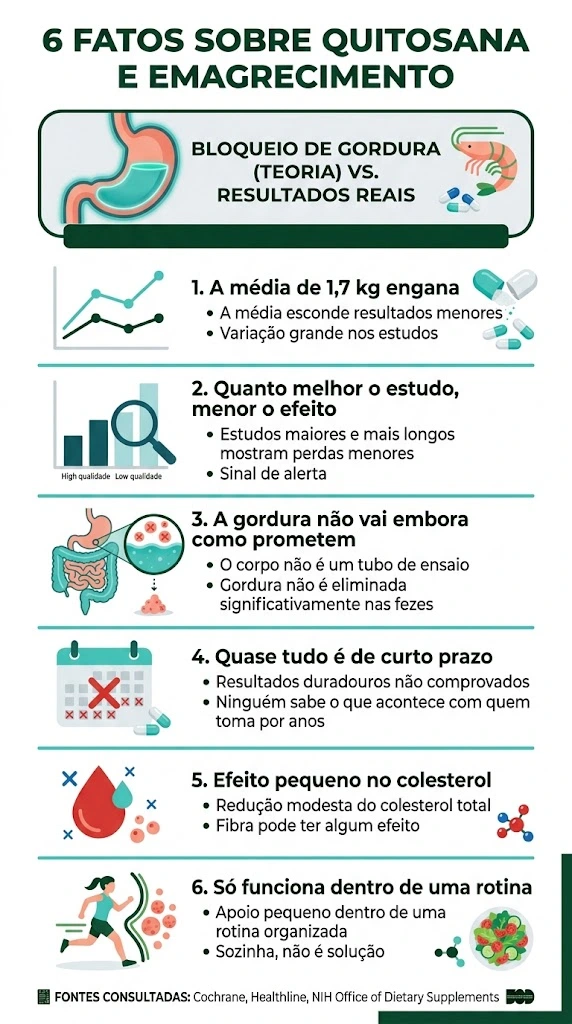infográfico com 6 fatos sobre a pergunta quitosana emagrece